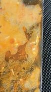 <b>到锅圈的食材都是由总部同一供应</b>