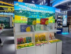  从岭市广袤的黑地